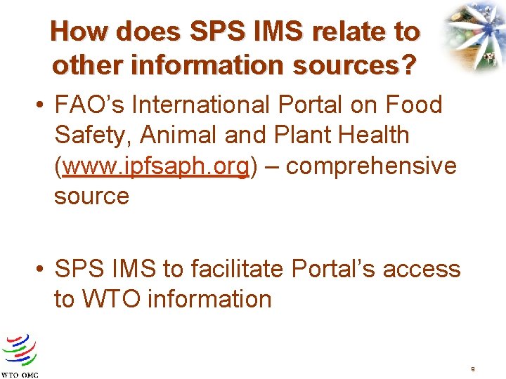 How does SPS IMS relate to other information sources? • FAO’s International Portal on