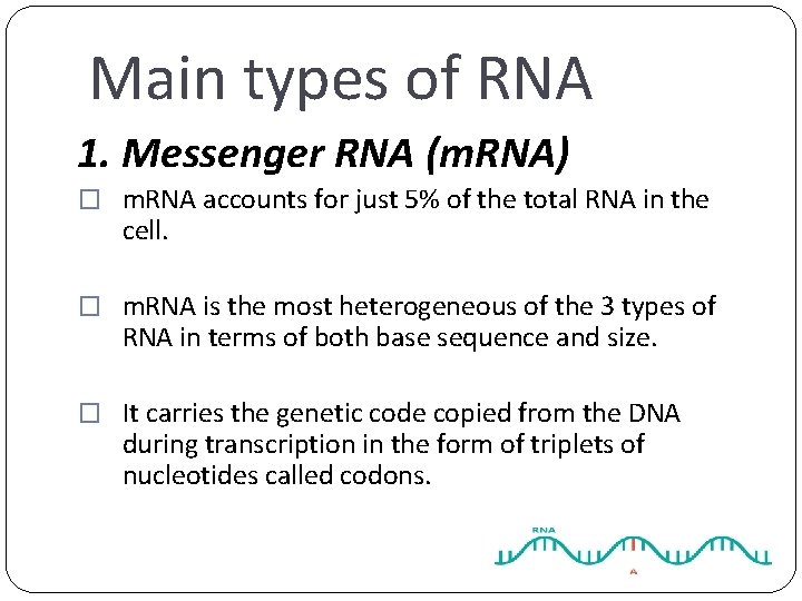 Main types of RNA 1. Messenger RNA (m. RNA) � m. RNA accounts for