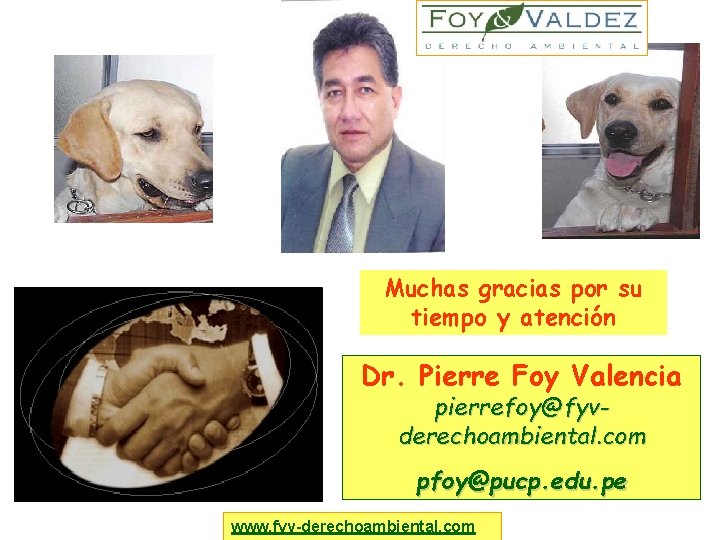 Muchas gracias por su tiempo y atención Dr. Pierre Foy Valencia pierrefoy@fyvderechoambiental. com pfoy@pucp.