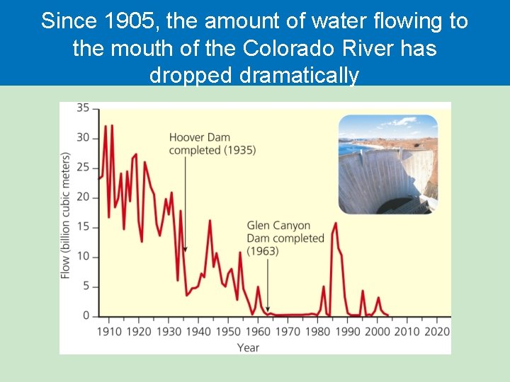 Since 1905, the amount of water flowing to the mouth of the Colorado River