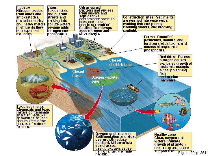 Industry Nitrogen oxides from autos and smokestacks, toxic chemicals, and heavy metals in effluents