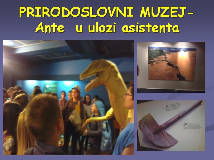 PRIRODOSLOVNI MUZEJAnte u ulozi asistenta 