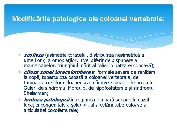Modificările patologice ale coloanei vertebrale: • scolioza (asimetria toracelui, distribuirea nesimetrică a umerilor şi