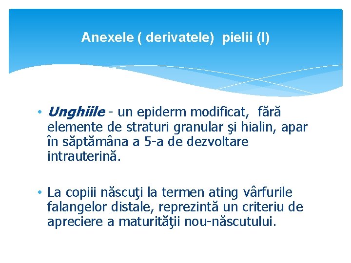 Anexele ( derivatele) pielii (I) • Unghiile - un epiderm modificat, fără elemente de