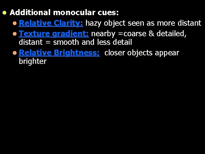 l Additional monocular cues: l Relative Clarity: hazy object seen as more distant l
