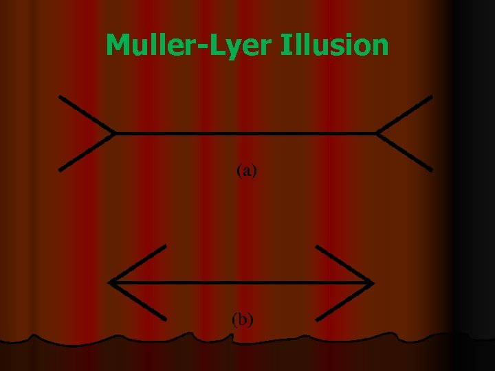 Muller-Lyer Illusion 