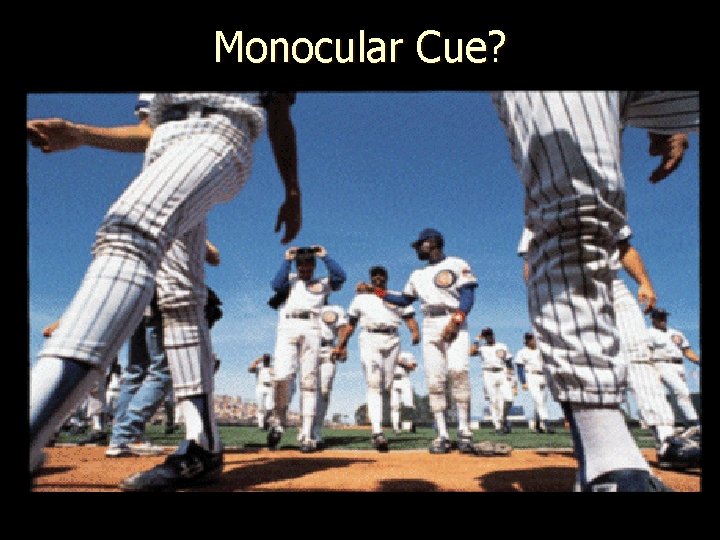 Monocular Cue? 
