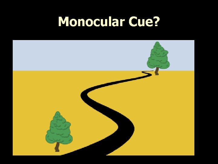 Monocular Cue? l 
