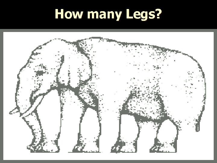 How many Legs? 