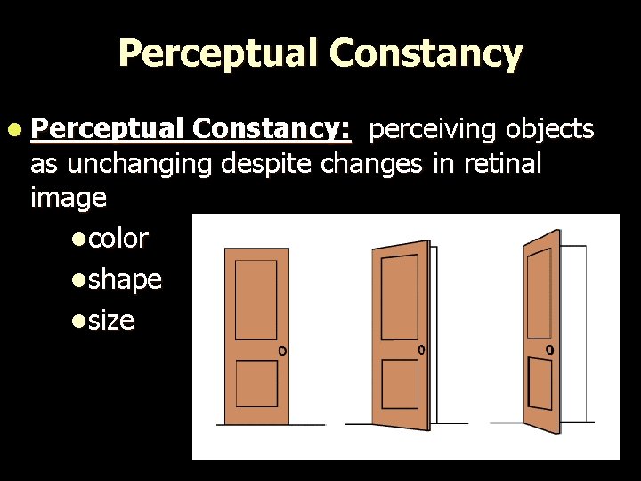Perceptual Constancy l Perceptual Constancy: perceiving objects as unchanging despite changes in retinal image
