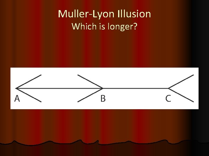 Muller-Lyon Illusion Which is longer? 
