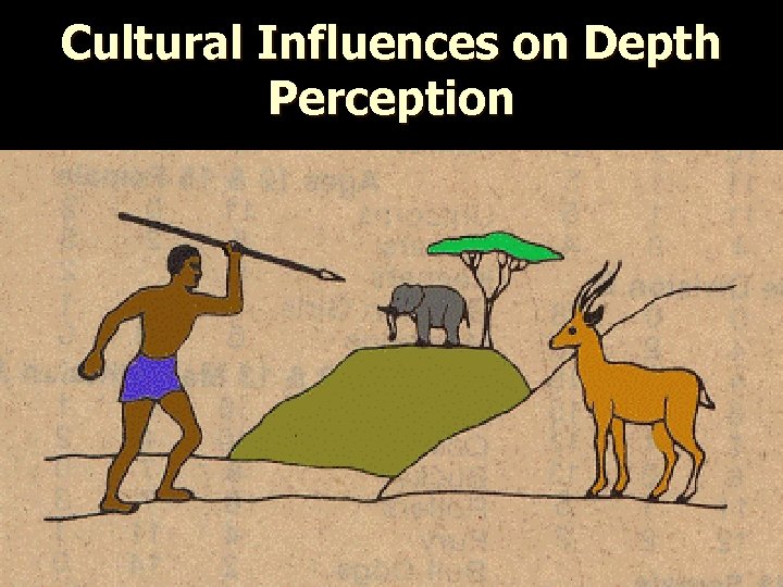 Cultural Influences on Depth Perception l 