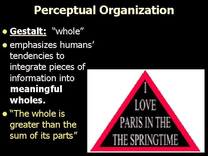 Perceptual Organization l Gestalt: “whole” l emphasizes humans’ tendencies to integrate pieces of information