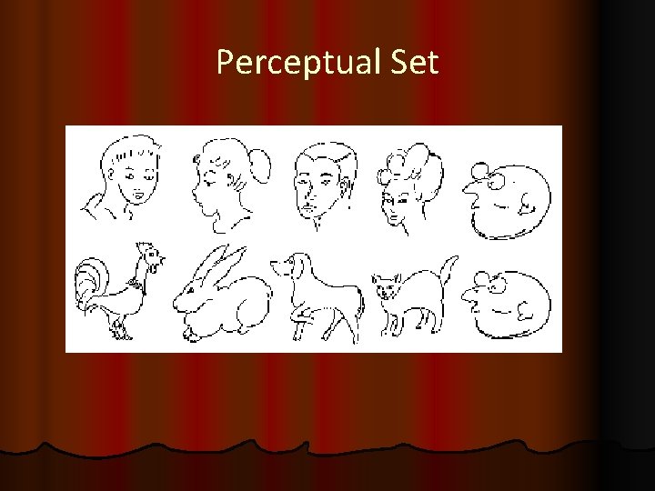Perceptual Set 