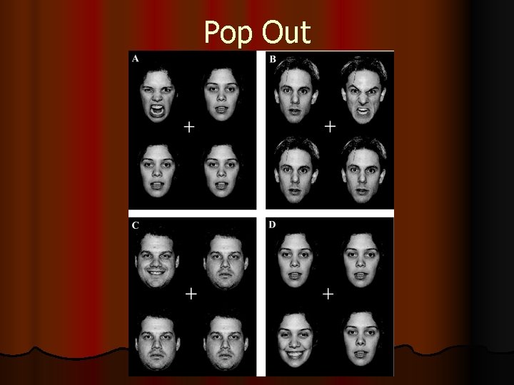 Pop Out 