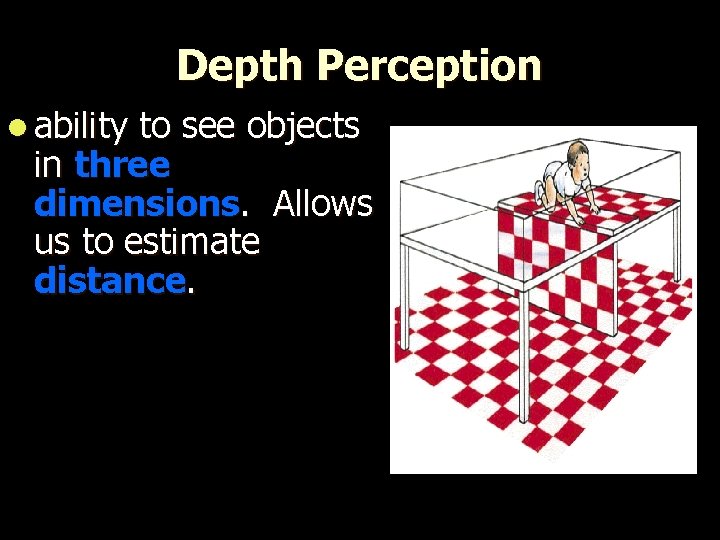 Depth Perception l ability to see objects in three dimensions. Allows us to estimate
