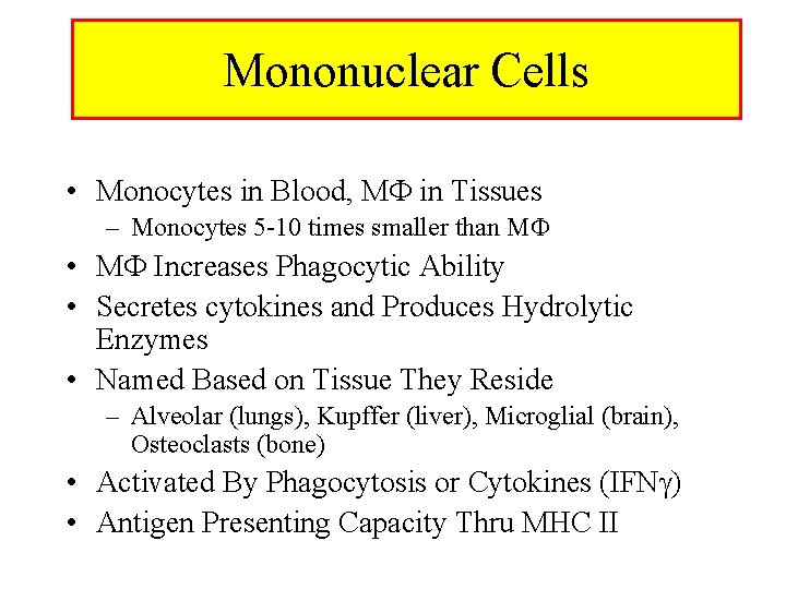 Mononuclear. Cells Mononuclear • Monocytes in Blood, M in Tissues – Monocytes 5 -10