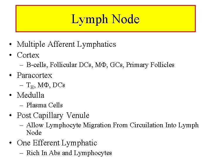 Lymph Node • Multiple Afferent Lymphatics • Cortex – B-cells, Follicular DCs, M ,