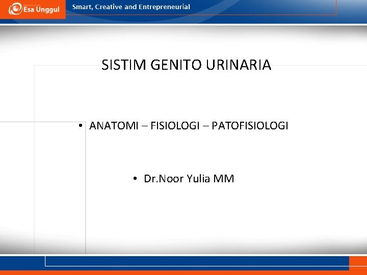 SISTIM GENITO URINARIA • ANATOMI – FISIOLOGI – PATOFISIOLOGI • Dr. Noor Yulia MM