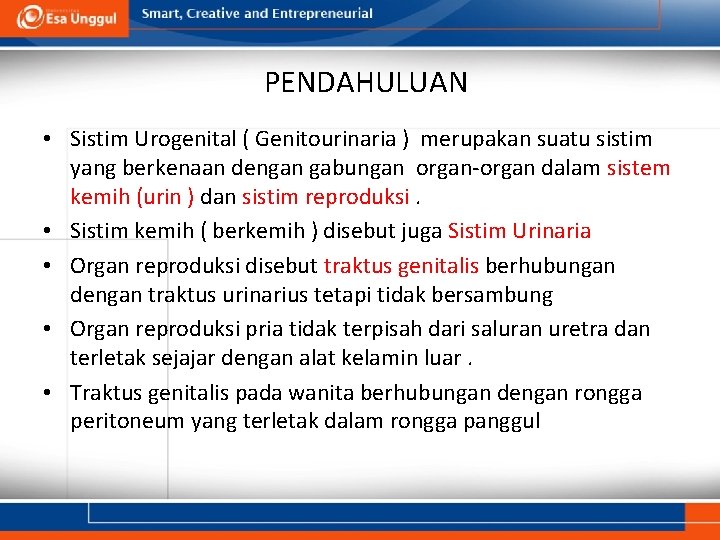 PENDAHULUAN • Sistim Urogenital ( Genitourinaria ) merupakan suatu sistim yang berkenaan dengan gabungan