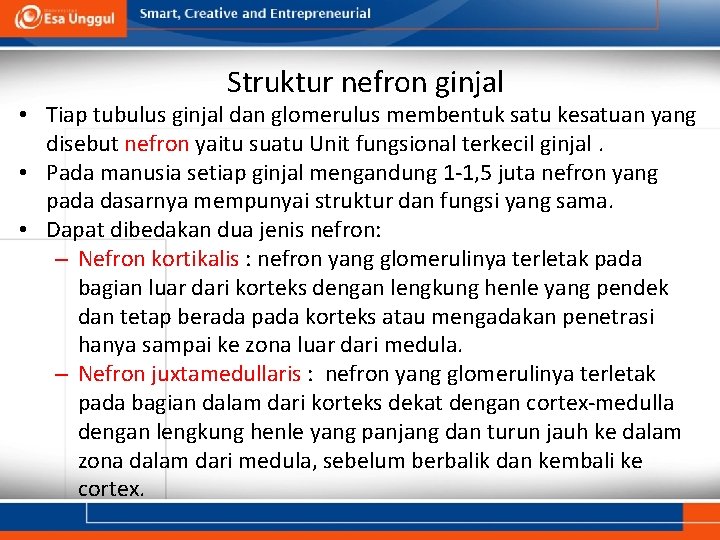 Struktur nefron ginjal • Tiap tubulus ginjal dan glomerulus membentuk satu kesatuan yang disebut