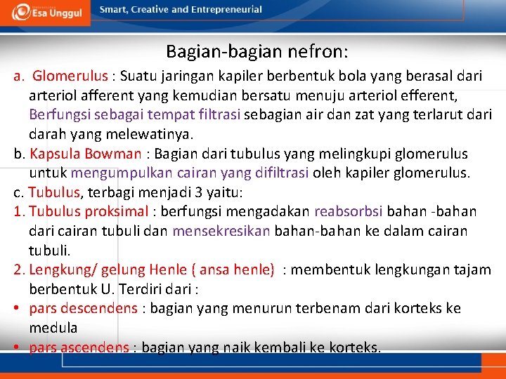 Bagian-bagian nefron: a. Glomerulus : Suatu jaringan kapiler berbentuk bola yang berasal dari arteriol