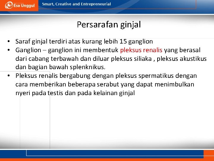 Persarafan ginjal • Saraf ginjal terdiri atas kurang lebih 15 ganglion • Ganglion –