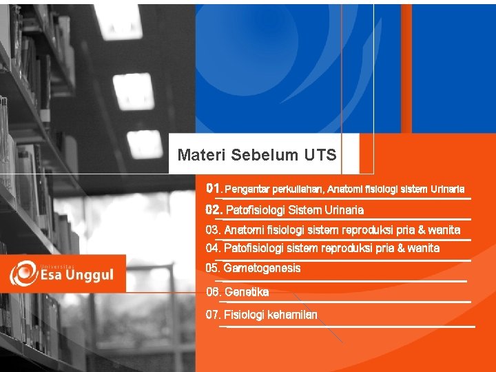 Materi Sebelum UTS 01. Pengantar perkuliahan, Anatomi fisiologi sistem Urinaria 02. Patofisiologi Sistem Urinaria