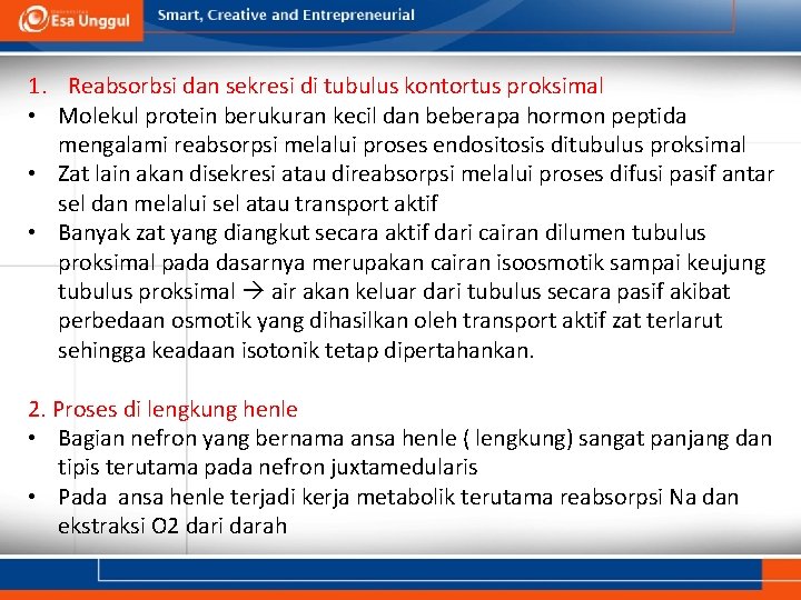 1. Reabsorbsi dan sekresi di tubulus kontortus proksimal • Molekul protein berukuran kecil dan