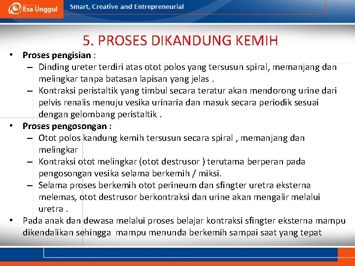 5. PROSES DIKANDUNG KEMIH • Proses pengisian : – Dinding ureter terdiri atas otot