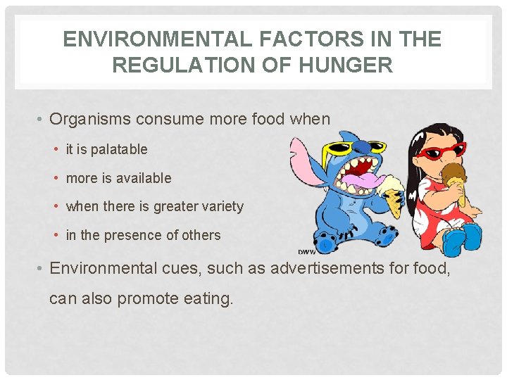 ENVIRONMENTAL FACTORS IN THE REGULATION OF HUNGER • Organisms consume more food when •