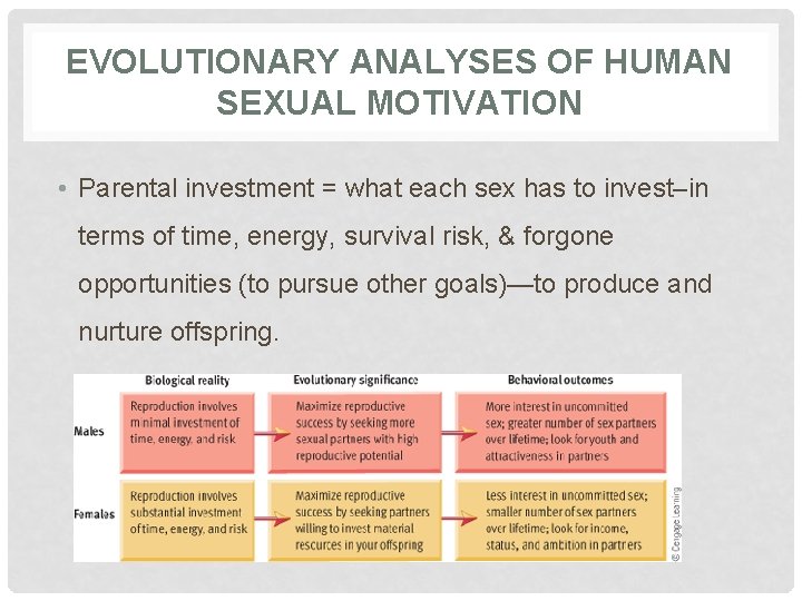 EVOLUTIONARY ANALYSES OF HUMAN SEXUAL MOTIVATION • Parental investment = what each sex has