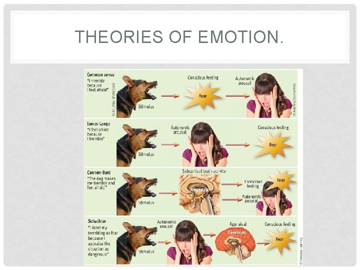 THEORIES OF EMOTION. 