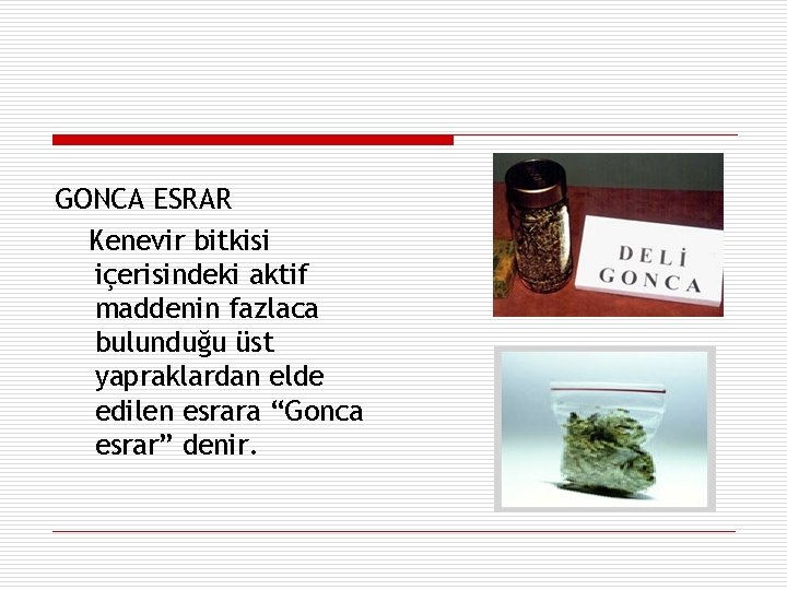 GONCA ESRAR Kenevir bitkisi içerisindeki aktif maddenin fazlaca bulunduğu üst yapraklardan elde edilen esrara