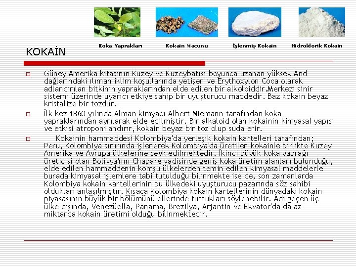 KOKAİN o o o Koka Yaprakları Kokain Macunu İşlenmiş Kokain Hidroklorik Kokain Güney Amerika