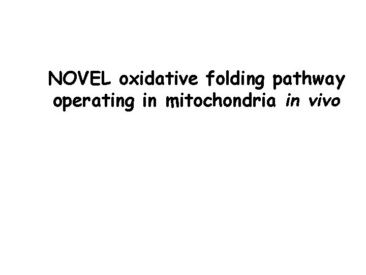 NOVEL oxidative folding pathway operating in mitochondria in vivo 