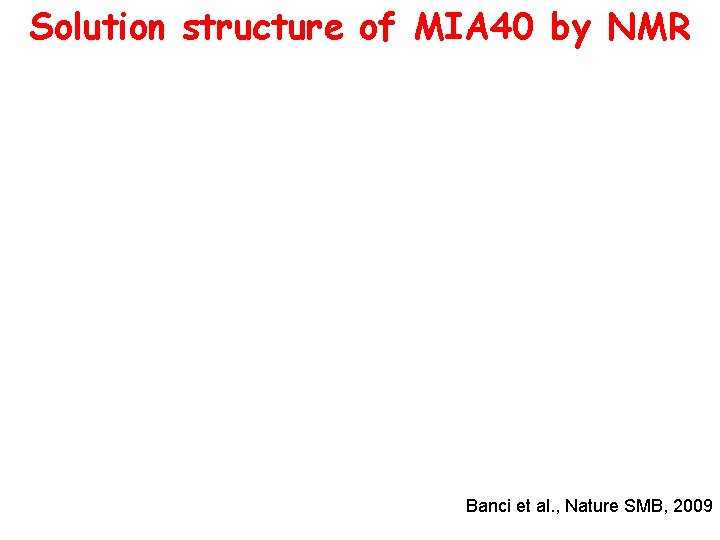 Solution structure of ΜΙΑ 40 by NMR Banci et al. , Nature SMB, 2009