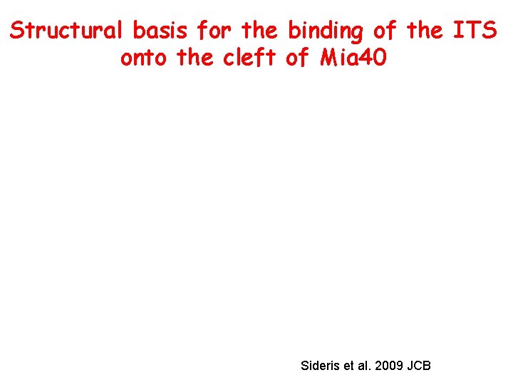 Structural basis for the binding of the ITS onto the cleft of Mia 40