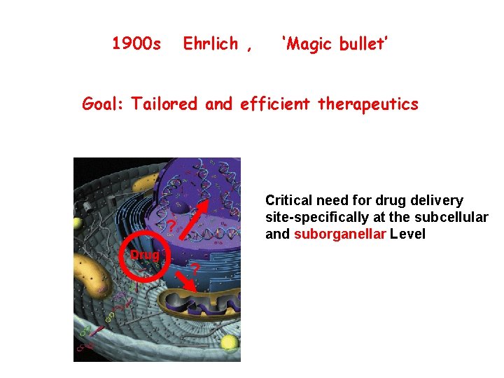 1900 s Ehrlich , ‘Magic bullet’ Goal: Tailored and efficient therapeutics Critical need for