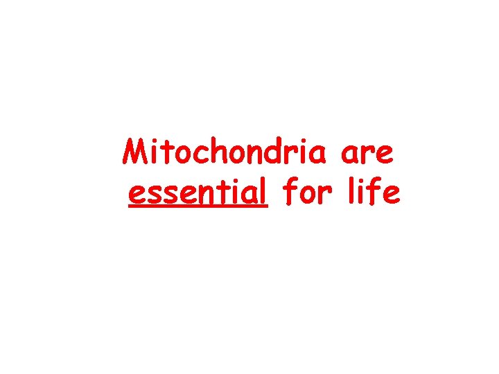 Mitochondria are essential for life 