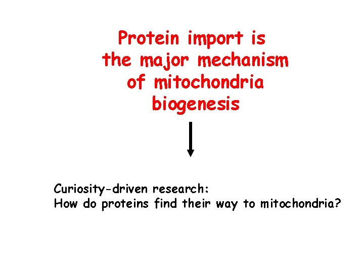 Protein import is the major mechanism of mitochondria biogenesis Curiosity-driven research: How do proteins