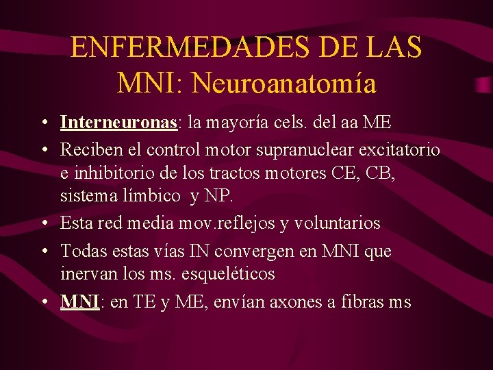 ENFERMEDADES DE LAS MNI: Neuroanatomía • Interneuronas: la mayoría cels. del aa ME •