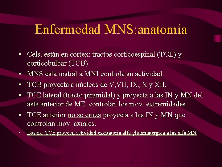 Enfermedad MNS: anatomía • Cels. están en cortex: tractos corticoespinal (TCE) y corticobulbar (TCB)