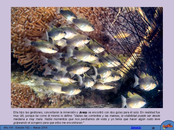 Ella hizo las gestiones, concertaron la inmersión y Josep se encontró con dos guías