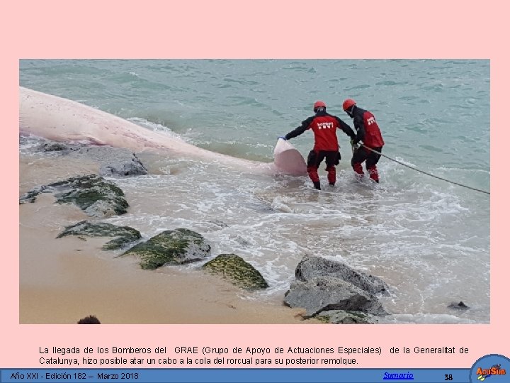 La llegada de los Bomberos del GRAE (Grupo de Apoyo de Actuaciones Especiales) de