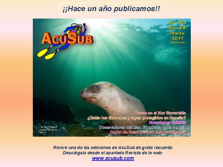 ¡¡Hace un año publicamos!! Revive una de las ediciones de Acu. Sub de grato