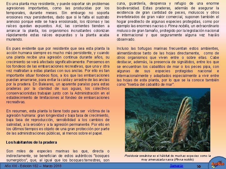 Es una planta muy resistente, y puede soportar sin problemas agresiones importantes, como las