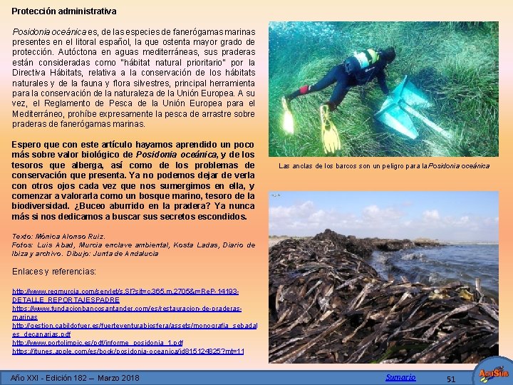 Protección administrativa Posidonia oceánica es, de las especies de fanerógamas marinas presentes en el