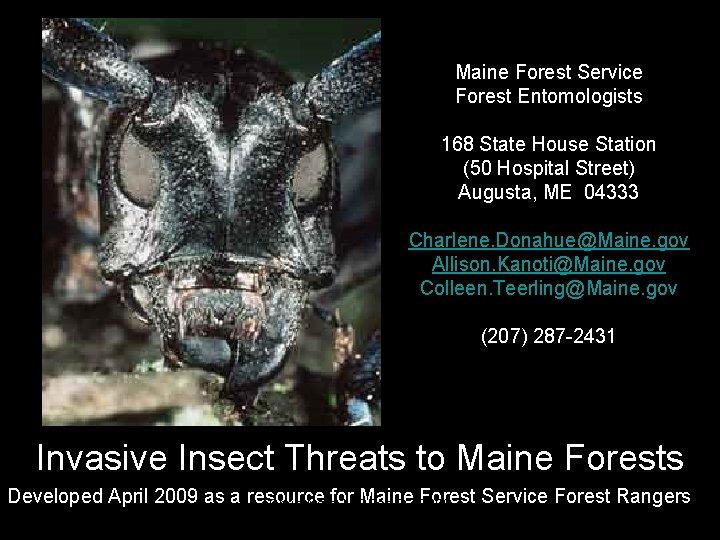 Maine Forest Service Forest Entomologists 168 State House Station (50 Hospital Street) Augusta, ME