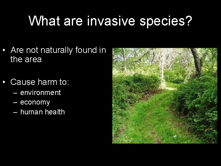 What are invasive species? • Are not naturally found in the area • Cause